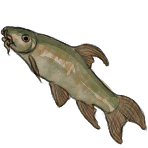 Fish sprite by Miruna
