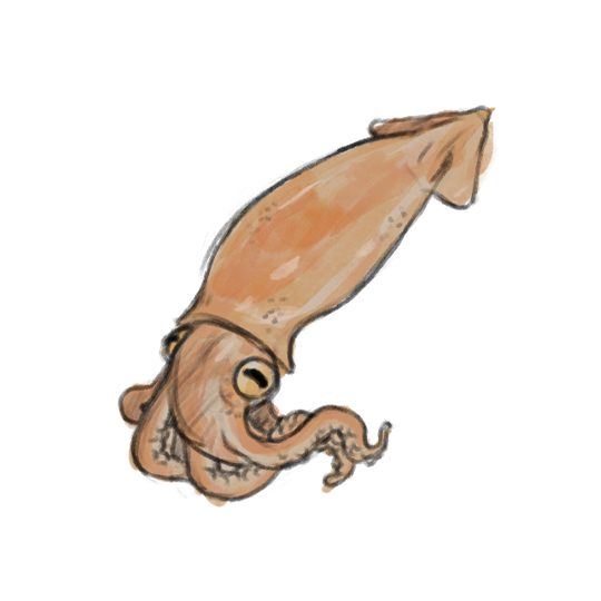 Bait sprite by Miruna