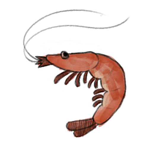 Bait sprite by Miruna
