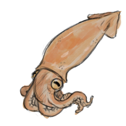 Bait sprite by Miruna